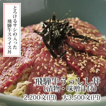 とろけるサシの入った飛騨牛スライス丼