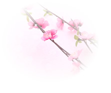 店内には春になるとおひなさま